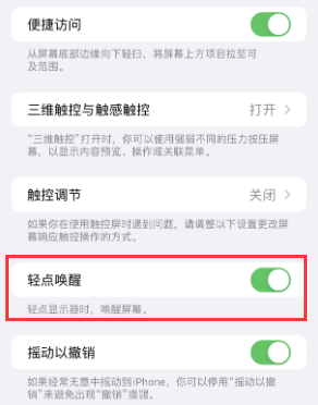 秀洲苹果授权维修站分享iPhone轻点无法唤醒怎么办 