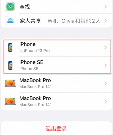 秀洲苹秀洲果维修网点分享iPhone如何查询序列号