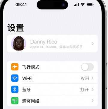 秀洲appleID维修服务iPhone设置中Apple ID显示为灰色无法使用