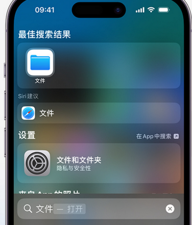 秀洲apple维修中心分享iPhone文件应用中存储和找到下载文件 