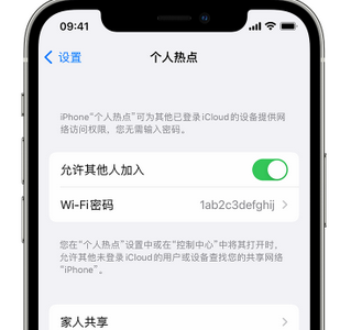 秀洲apple服务站点分享iPhone上个人热点丢失了怎么办 