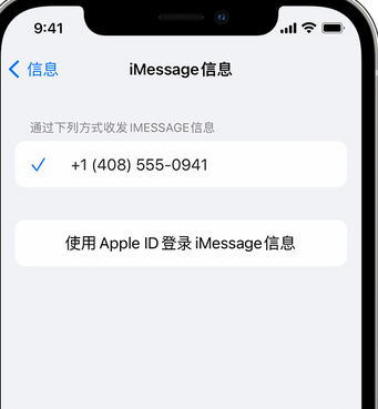 秀洲apple维修iPhone上无法正常发送iMessage信息