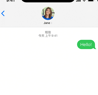 秀洲apple维修iPhone上无法正常发送iMessage信息