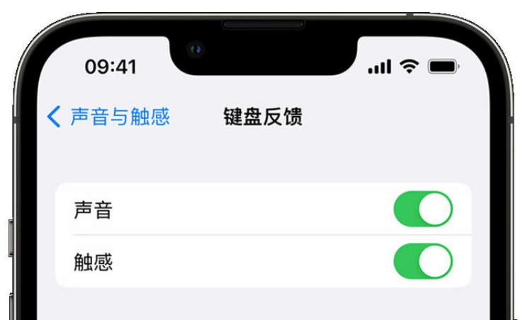 秀洲苹果手机维修分享iPhone 14触感键盘使用方法 