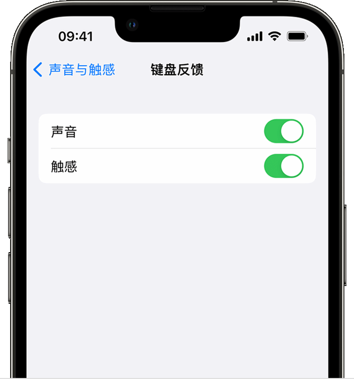 秀洲苹果14维修店分享如何在 iPhone 14 机型中使用触感键盘 