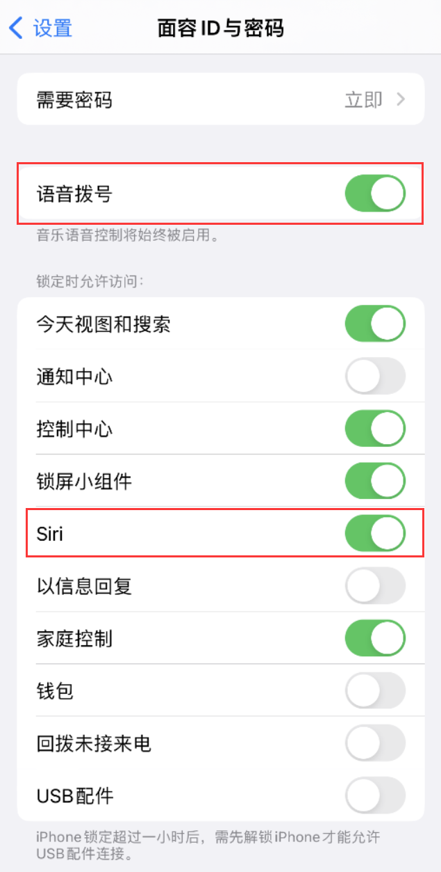 秀洲苹果维修网点分享不解锁 iPhone 的情况下通过 Siri 拨打电话的方法 