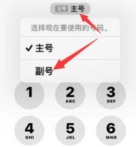 秀洲苹果14维修店分享iPhone 14 Pro Max使用副卡打电话的方法 