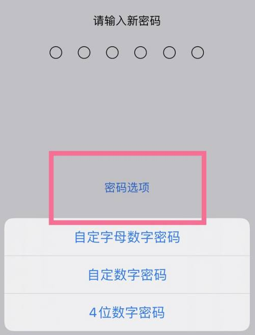 秀洲苹果14维修分享iPhone 14plus设置密码的方法 