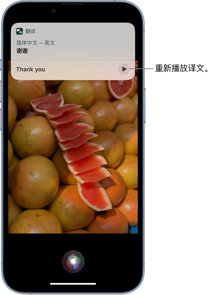 秀洲苹果14维修分享 iPhone 14 机型中使用 Siri：了解 Siri 能帮你做什么 