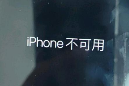 秀洲苹果服务网点分享锁屏界面显示“iPhone 不可用”如何解决 