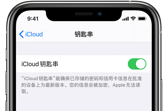 秀洲苹果手机维修分享在 iPhone 上开启 iCloud 钥匙串之后会储存哪些信息 