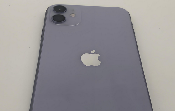 秀洲苹果11系统维修分享iPhone11手机系统崩溃无法开机如何解决