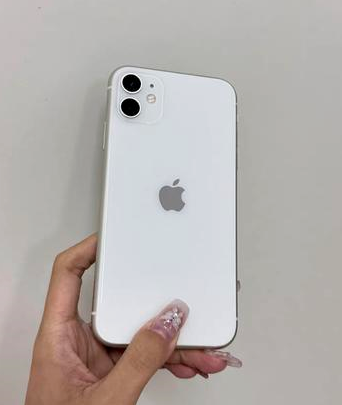 秀洲苹果维修点分享iPhone 11黑屏特殊场景解析 